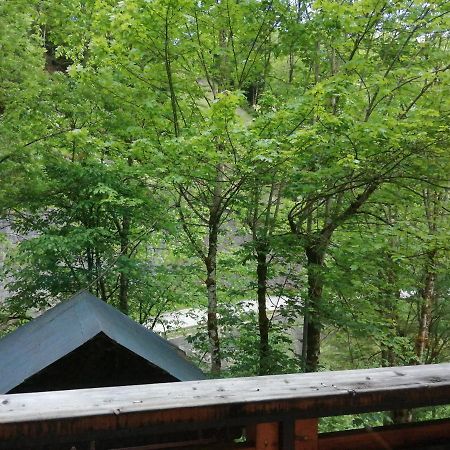 Le Cornix Chalet Au Pont De Flon מראה חיצוני תמונה