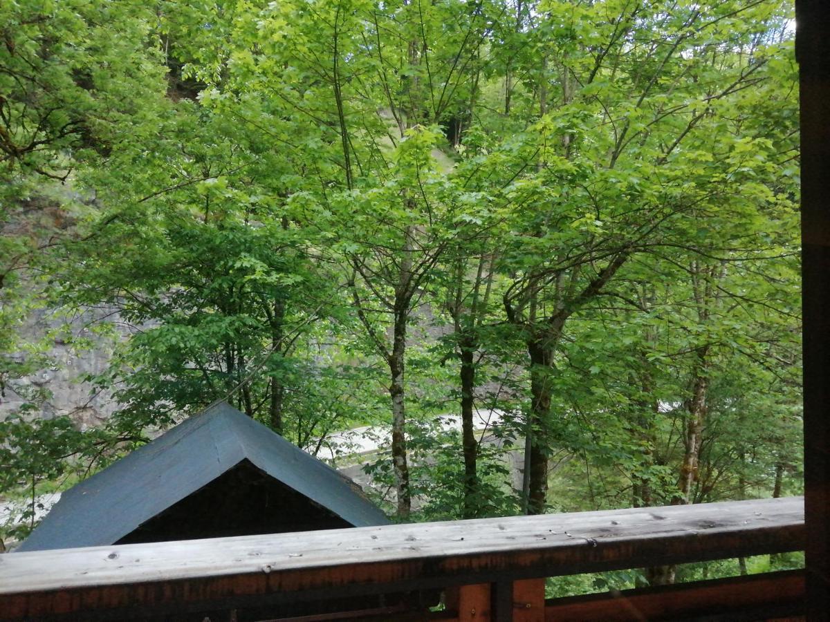 Le Cornix Chalet Au Pont De Flon מראה חיצוני תמונה